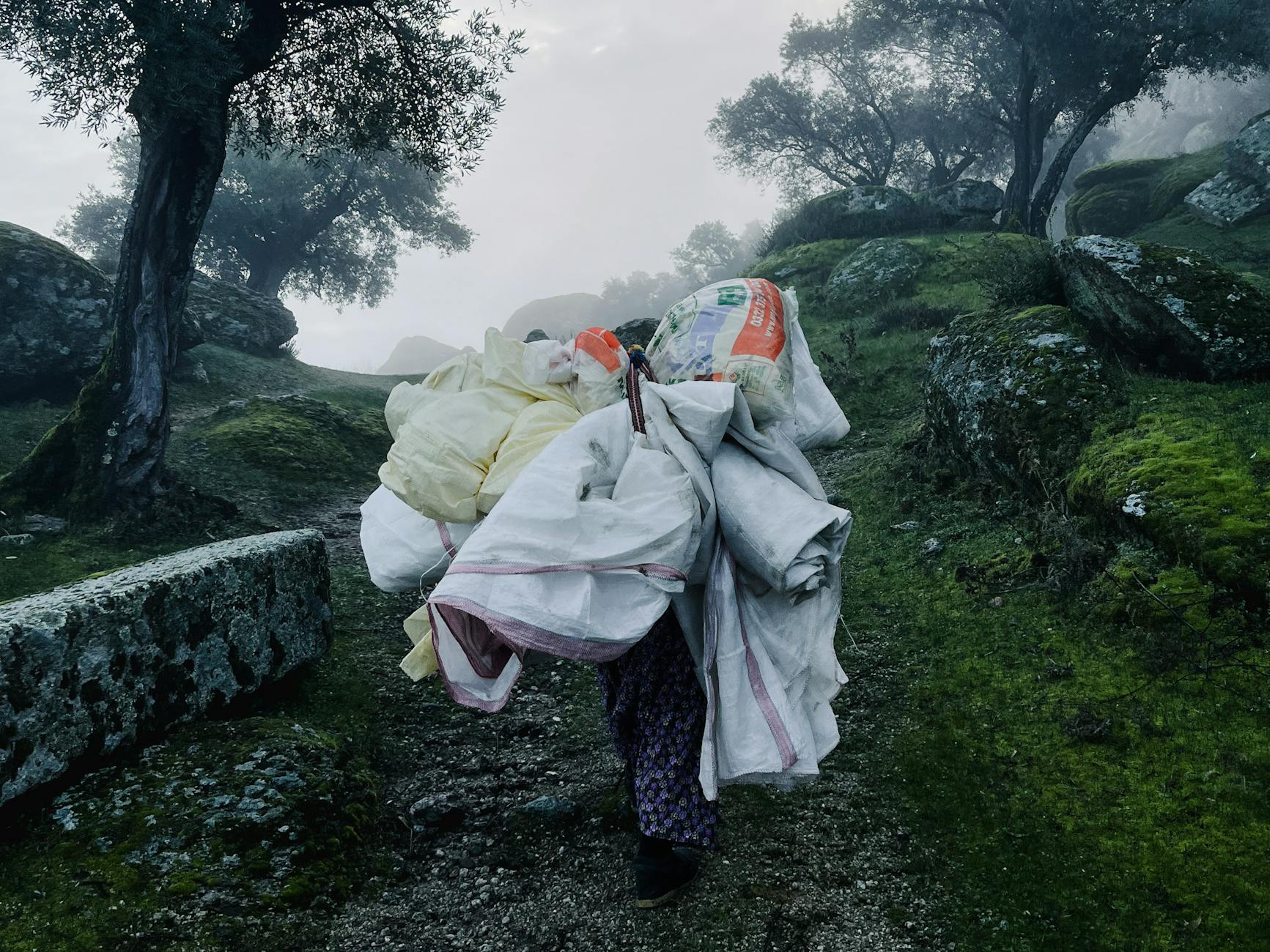 Kobieta z dużymi torbami idzie przez mglisty, kamienisty teren