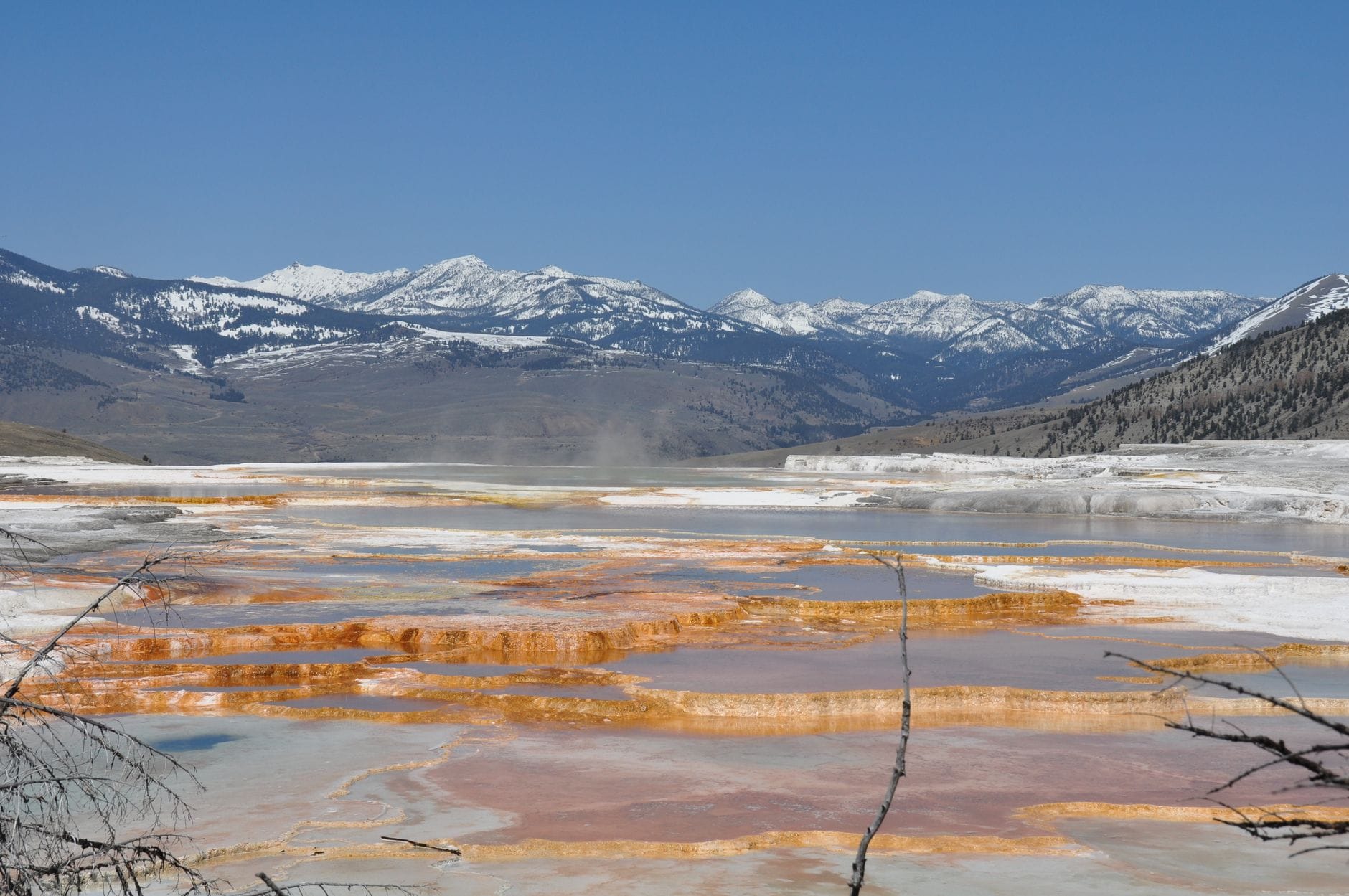 Tarasy Mammoth Hot Springs na tle ośnieżonych szczytów w Yellowstone