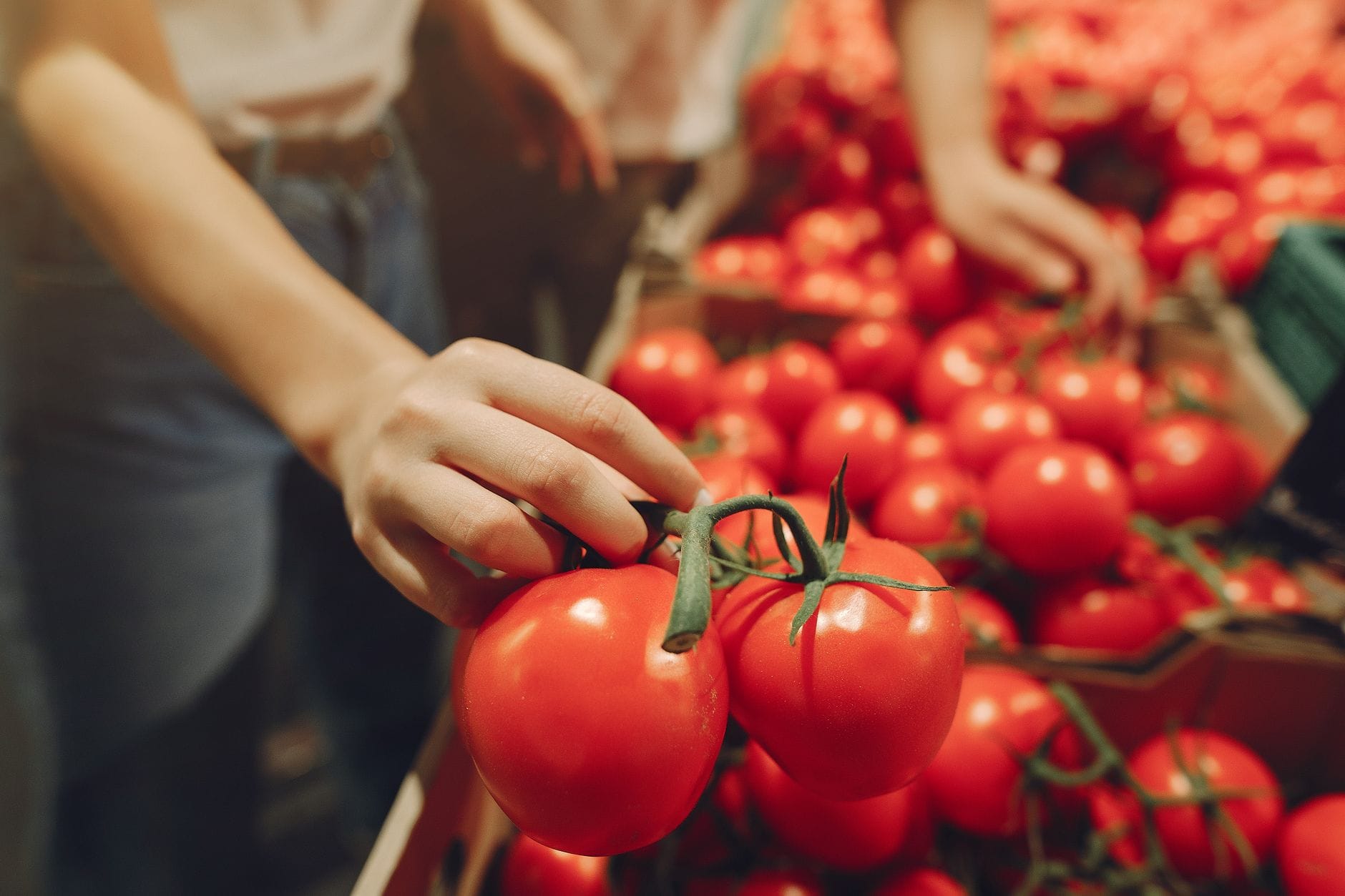 Kobieta wybiera czerwone pomidory na gałązce w supermarkecie
