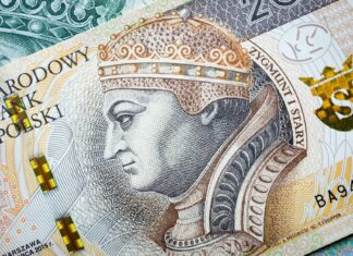 Przewoźnik nie zwraca pieniędzy za anulowany kurs – gdzie zgłosić sprawę?